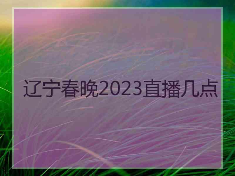 辽宁春晚2023直播几点