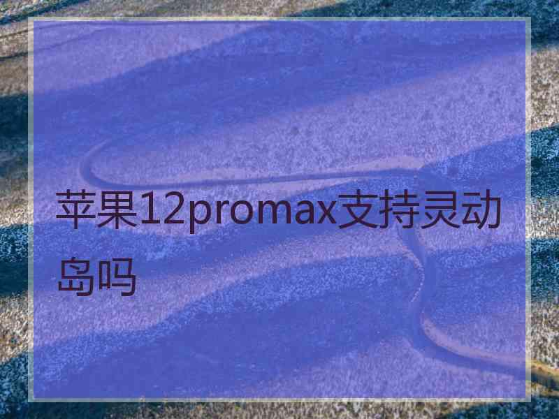 苹果12promax支持灵动岛吗