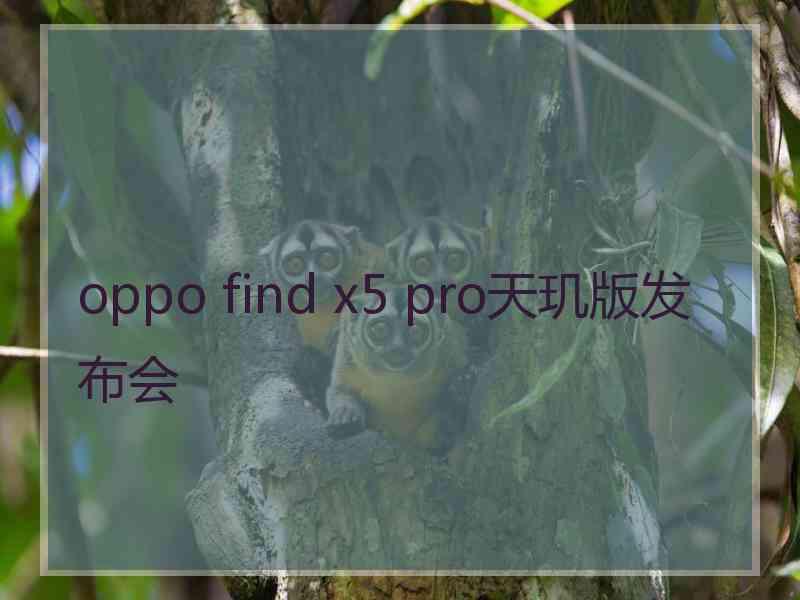 oppo find x5 pro天玑版发布会