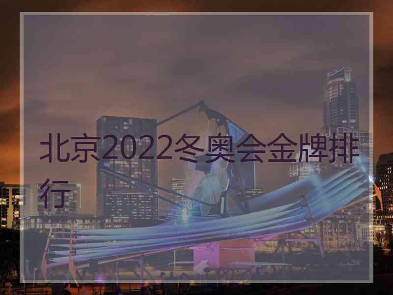 北京2022冬奥会金牌排行