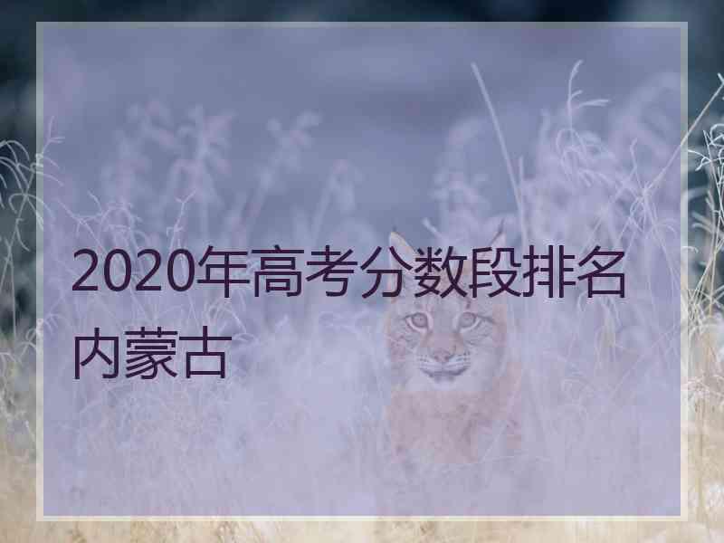 2020年高考分数段排名内蒙古