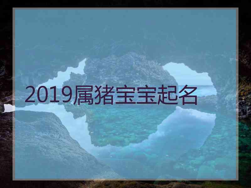 2019属猪宝宝起名