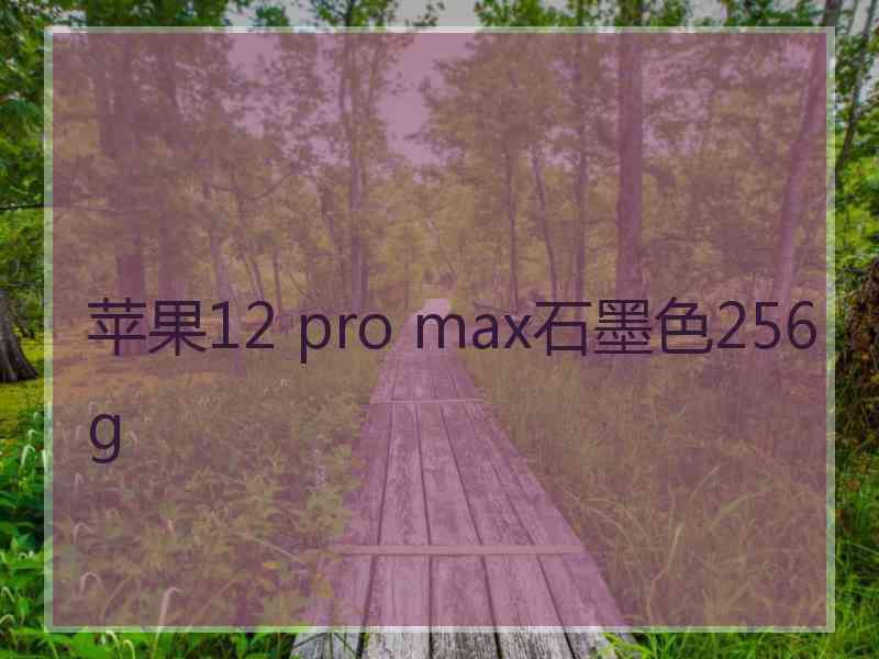 苹果12 pro max石墨色256g