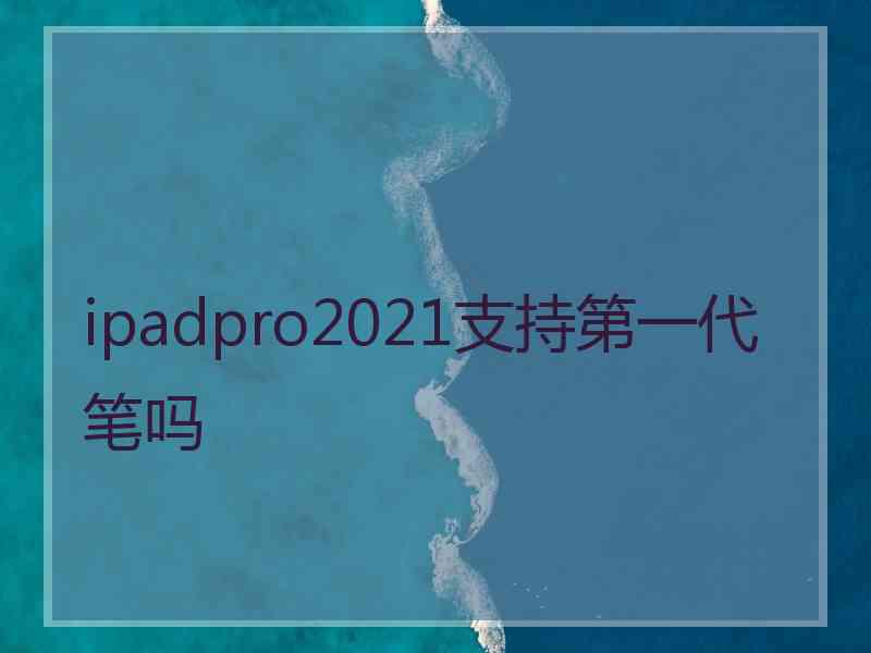 ipadpro2021支持第一代笔吗