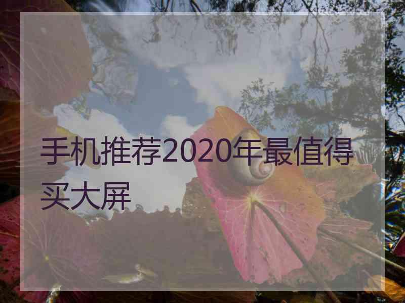 手机推荐2020年最值得买大屏