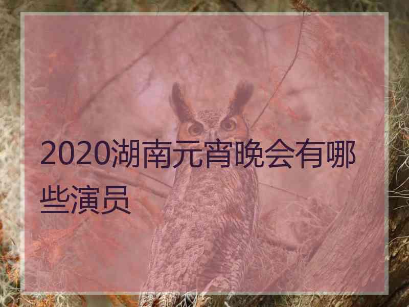 2020湖南元宵晚会有哪些演员