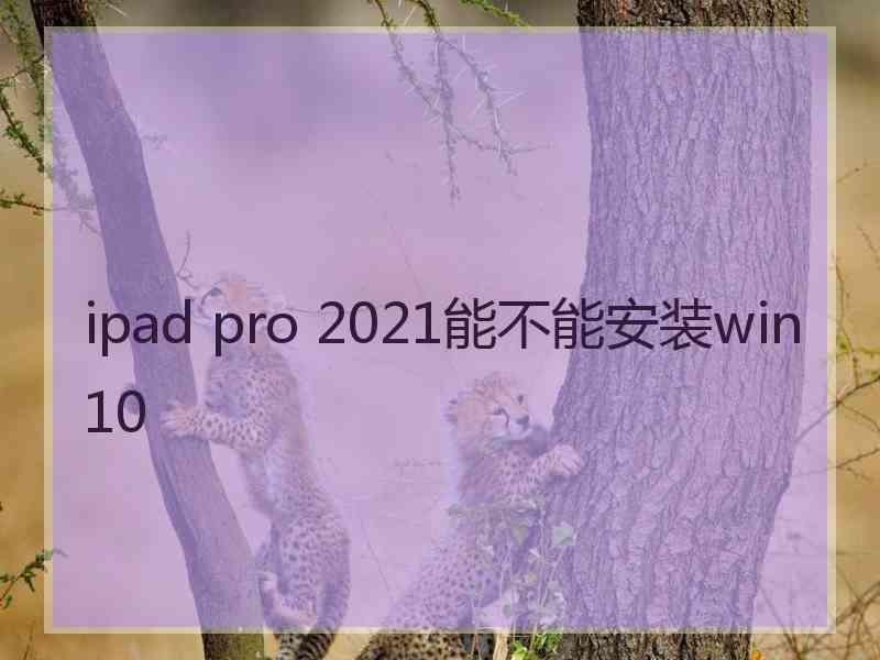 ipad pro 2021能不能安装win10