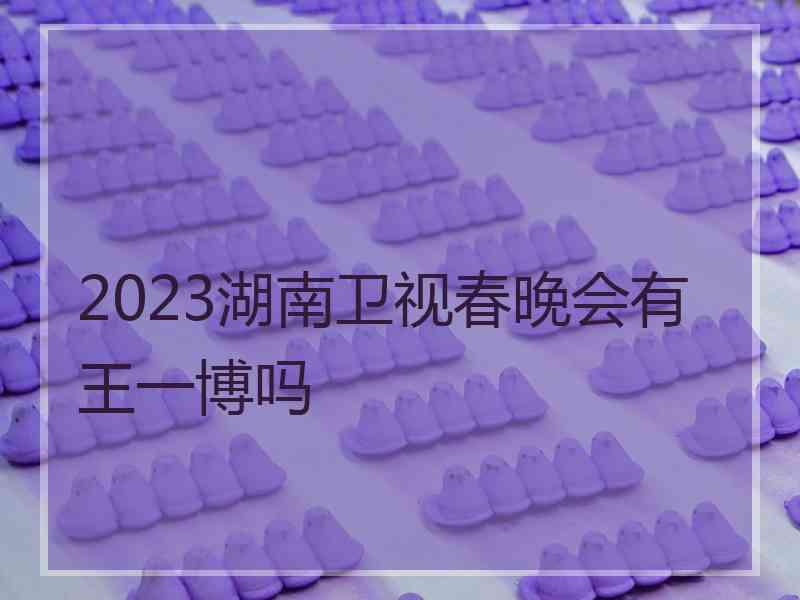 2023湖南卫视春晚会有王一博吗