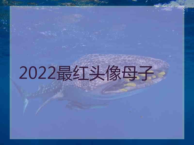 2022最红头像母子