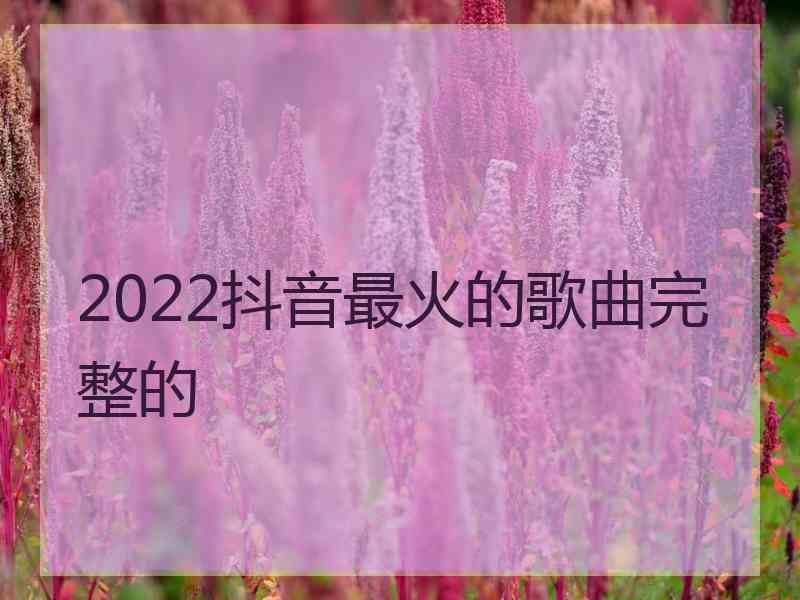 2022抖音最火的歌曲完整的