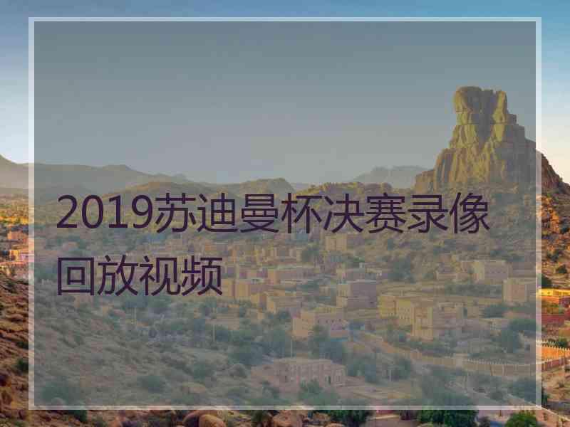 2019苏迪曼杯决赛录像回放视频