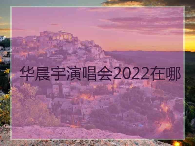 华晨宇演唱会2022在哪