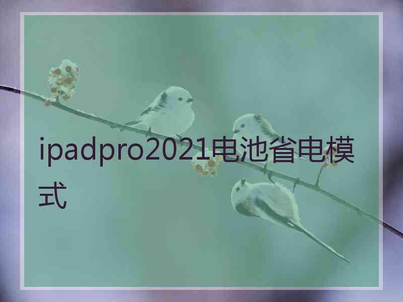 ipadpro2021电池省电模式