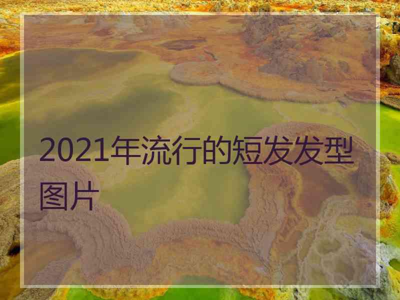 2021年流行的短发发型图片