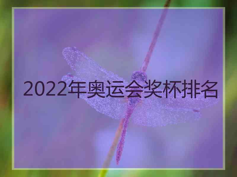 2022年奥运会奖杯排名