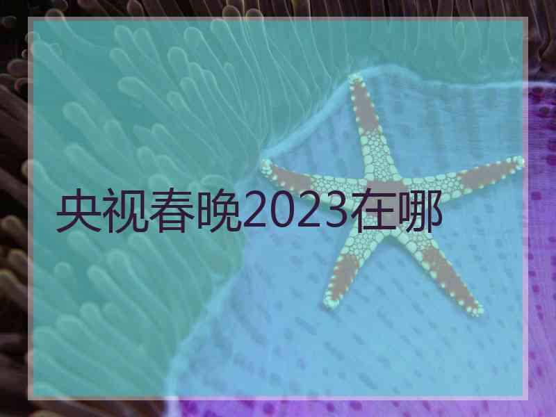 央视春晚2023在哪