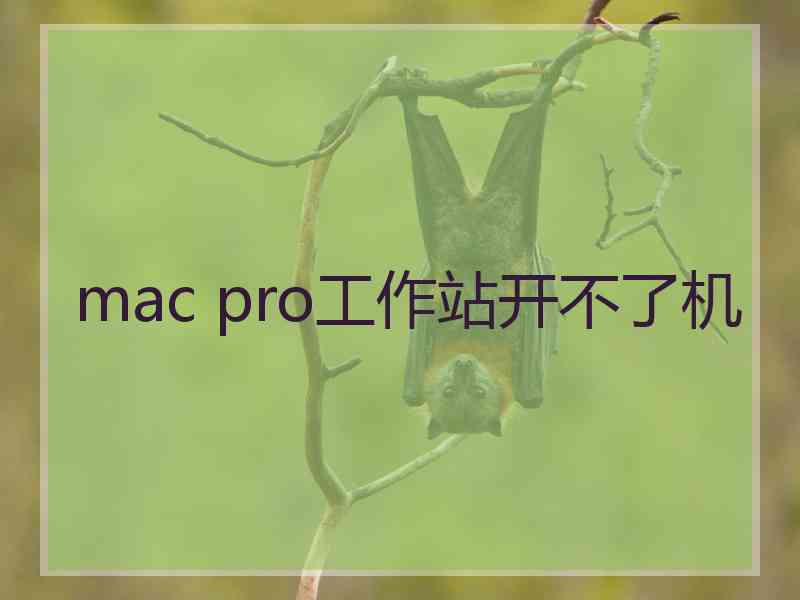 mac pro工作站开不了机