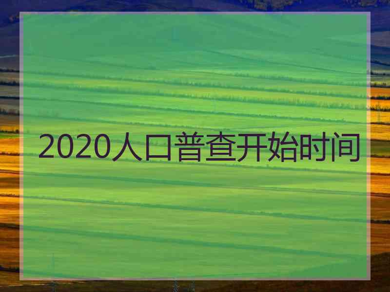 2020人口普查开始时间