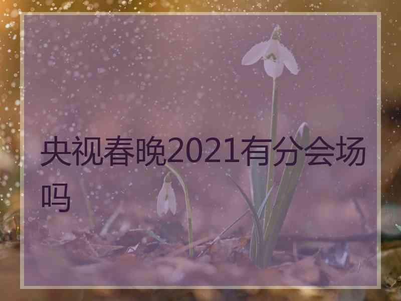 央视春晚2021有分会场吗