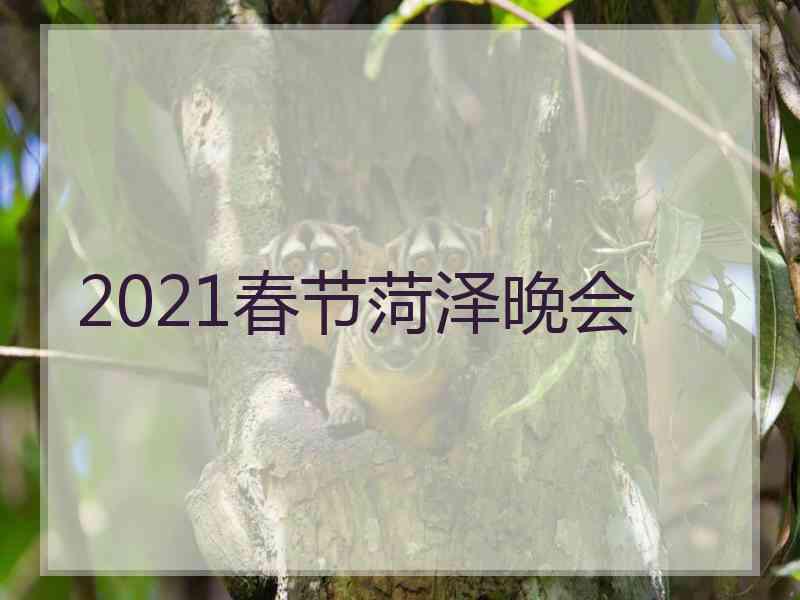 2021春节菏泽晚会