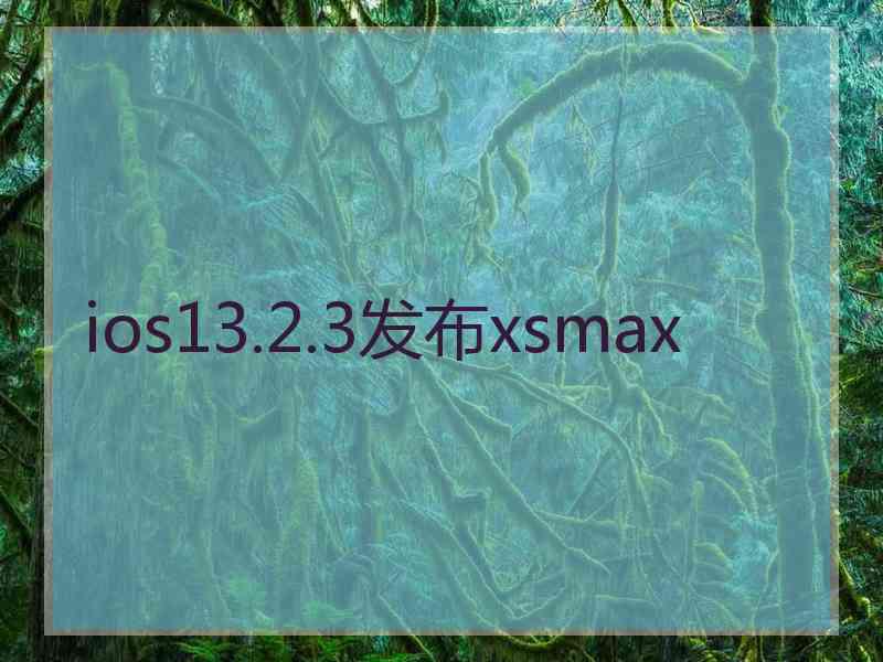 ios13.2.3发布xsmax