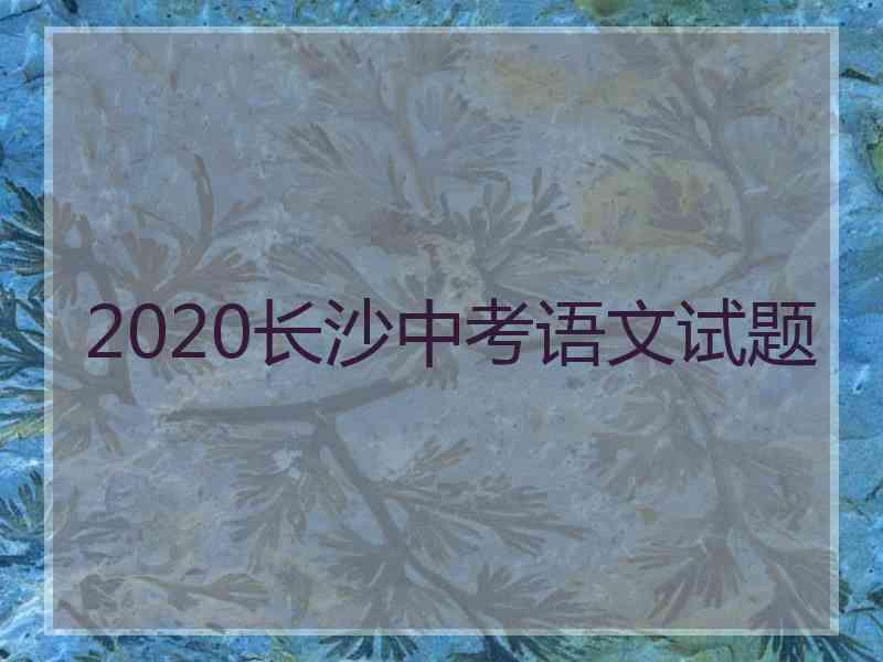 2020长沙中考语文试题