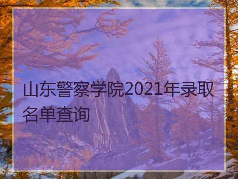 山东警察学院2021年录取名单查询