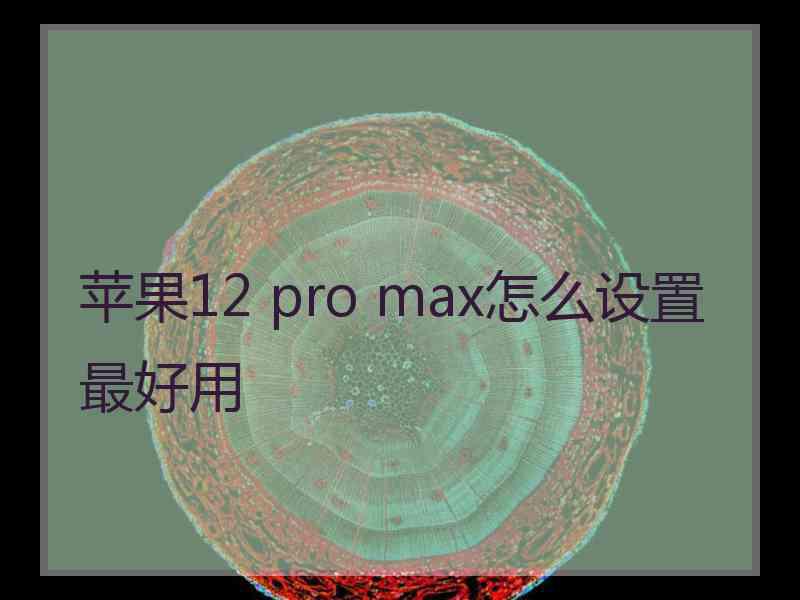 苹果12 pro max怎么设置最好用