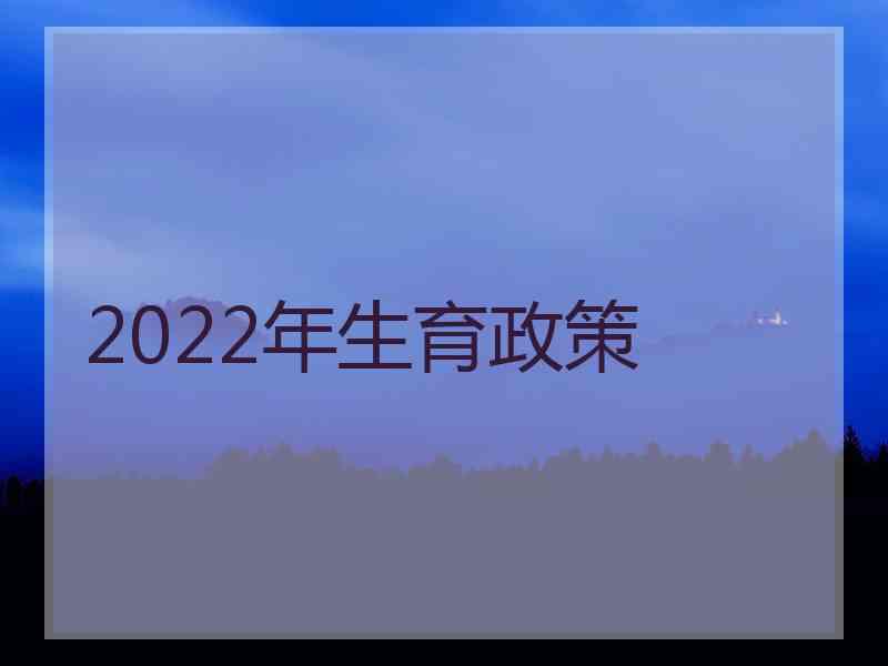 2022年生育政策