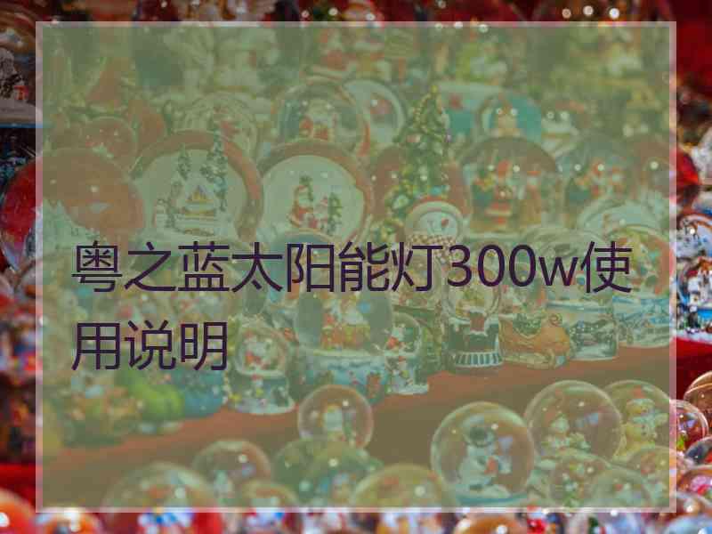 粤之蓝太阳能灯300w使用说明