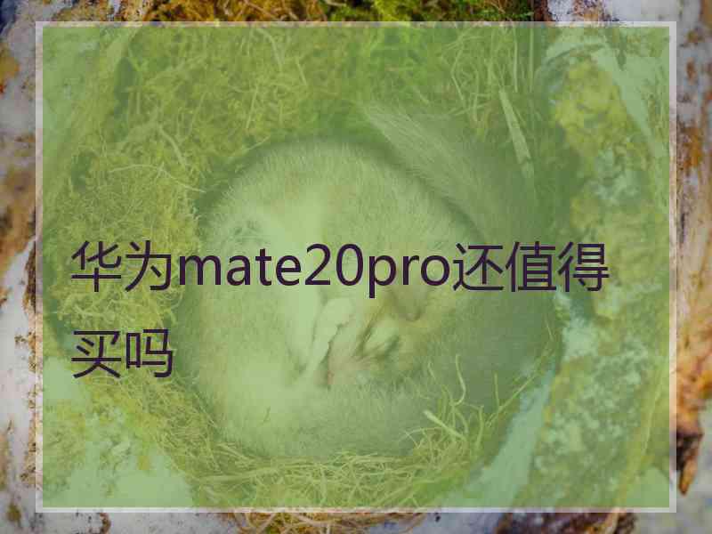 华为mate20pro还值得买吗