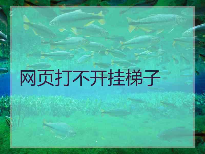 网页打不开挂梯子