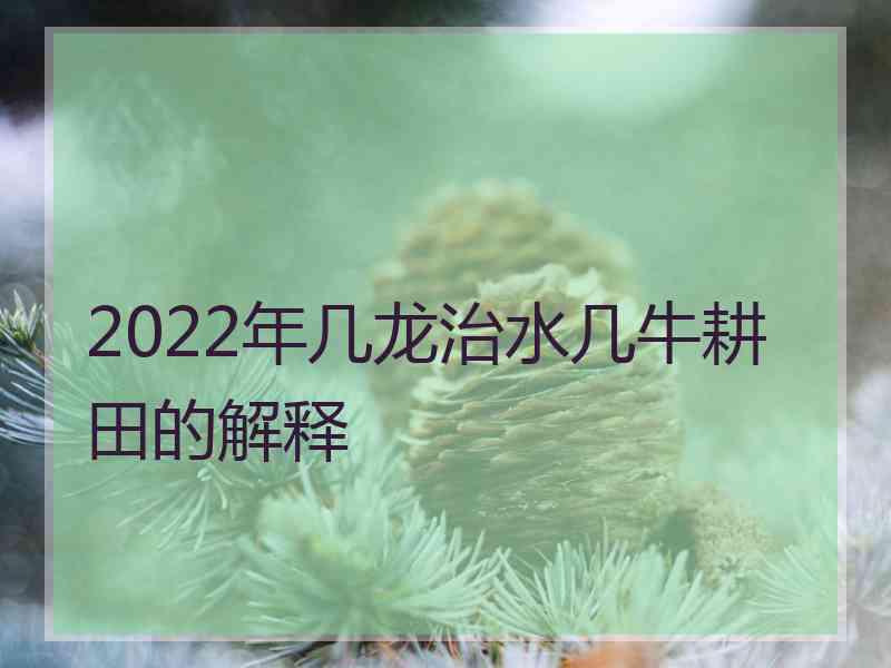 2022年几龙治水几牛耕田的解释