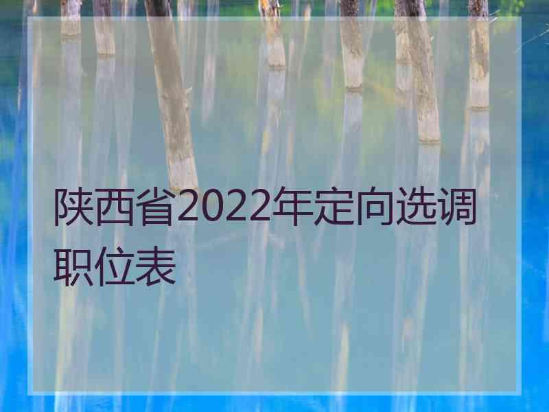 陕西省2022年定向选调职位表