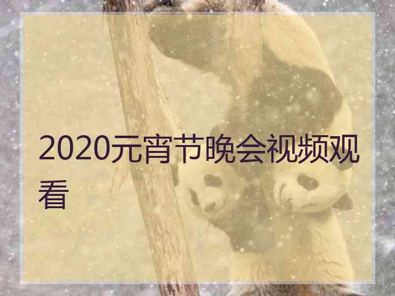 2020元宵节晚会视频观看