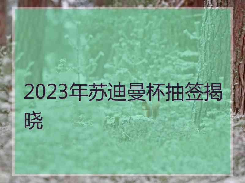 2023年苏迪曼杯抽签揭晓