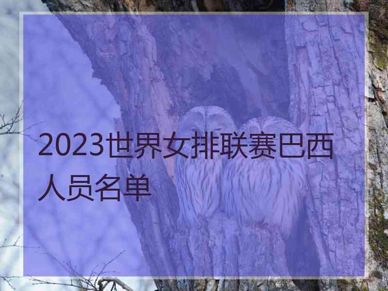 2023世界女排联赛巴西人员名单