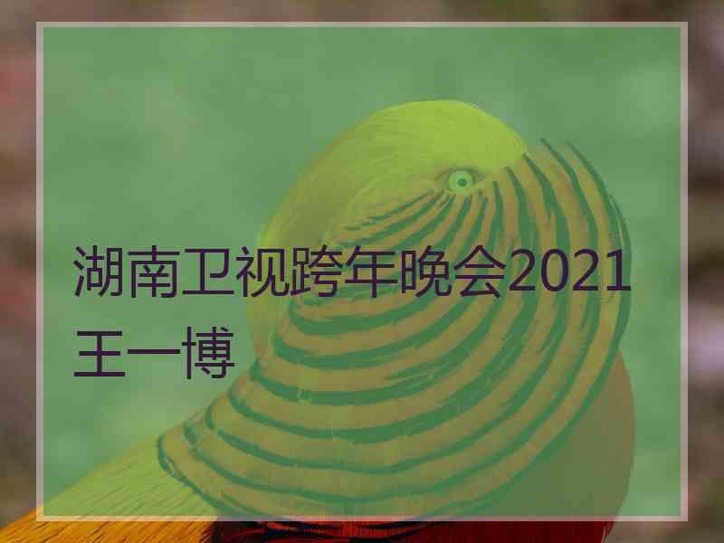 湖南卫视跨年晚会2021王一博