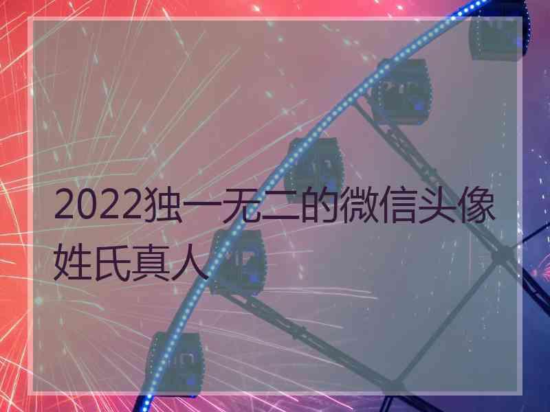 2022独一无二的微信头像姓氏真人