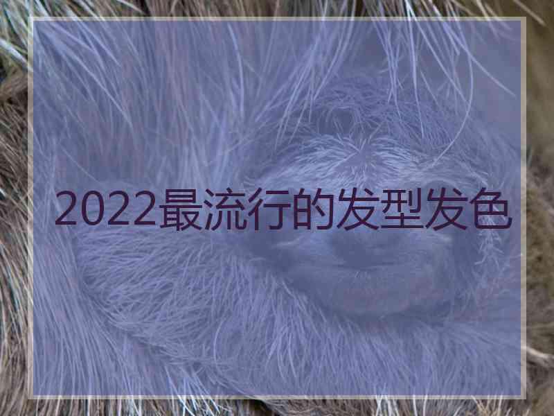 2022最流行的发型发色