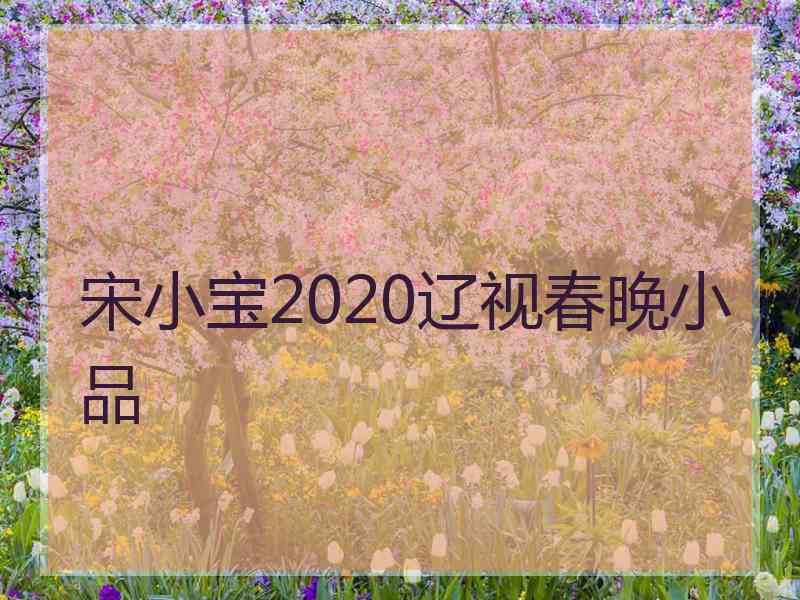 宋小宝2020辽视春晚小品