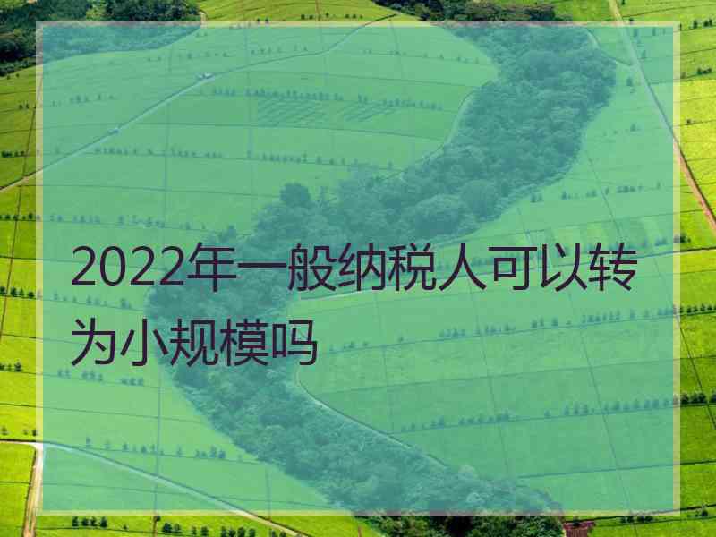 2022年一般纳税人可以转为小规模吗