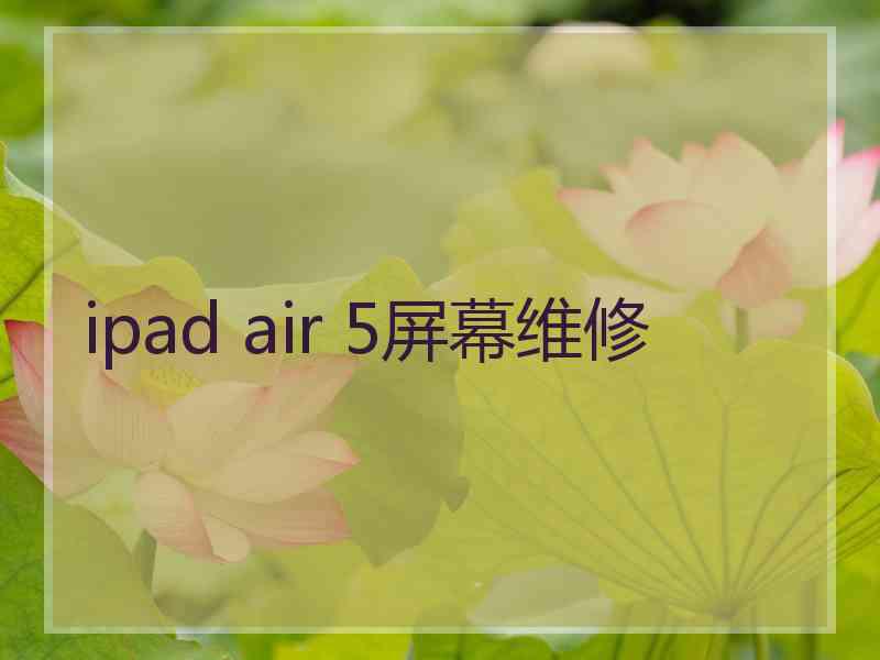 ipad air 5屏幕维修