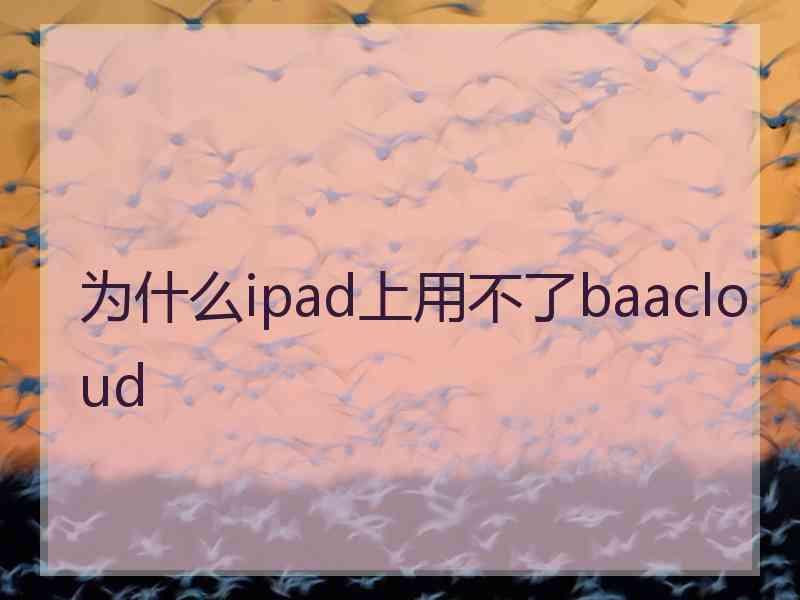 为什么ipad上用不了baacloud