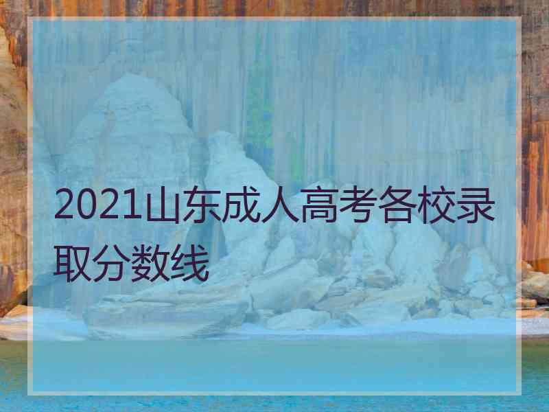 2021山东成人高考各校录取分数线