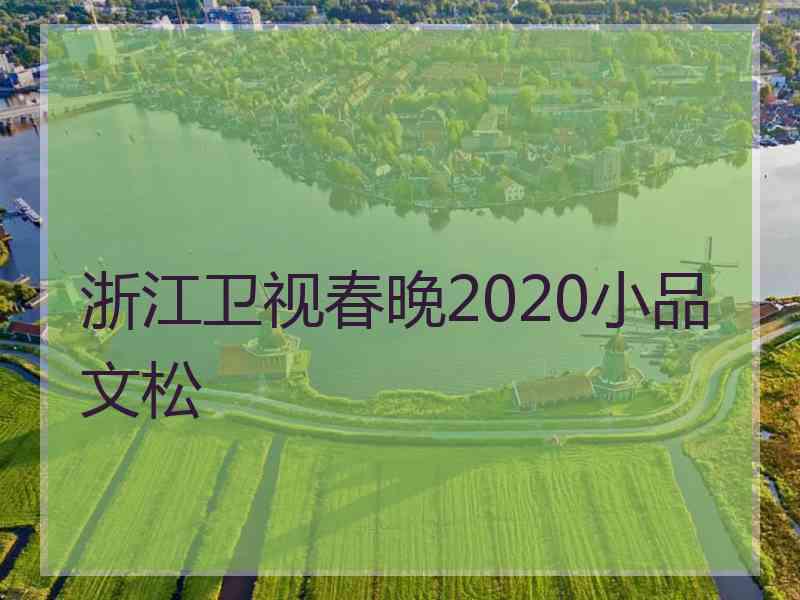 浙江卫视春晚2020小品文松