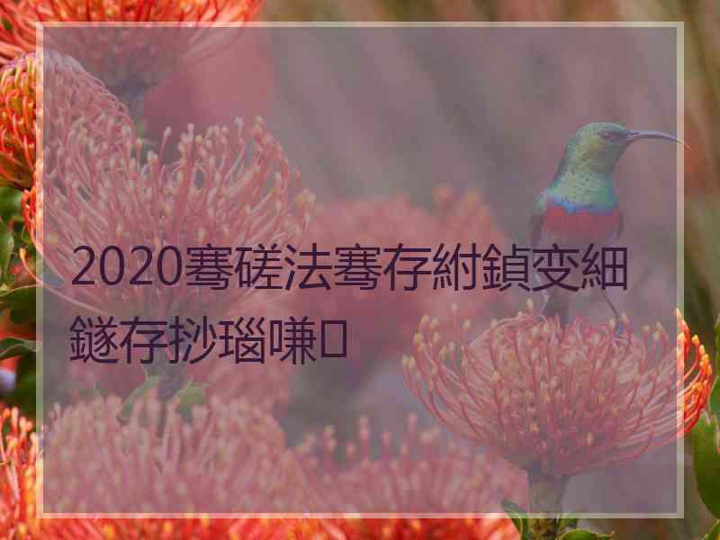 2020骞磋法骞存紨鍞变細鐩存挱瑙嗛