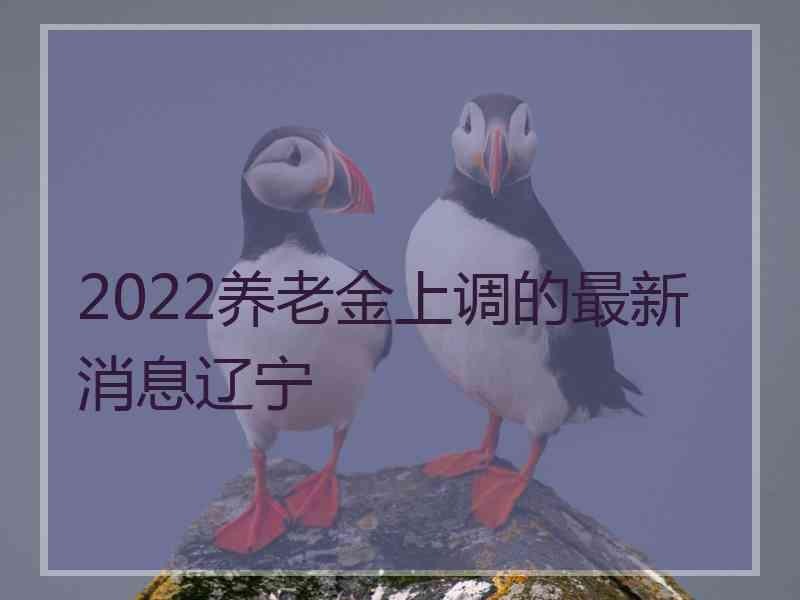 2022养老金上调的最新消息辽宁