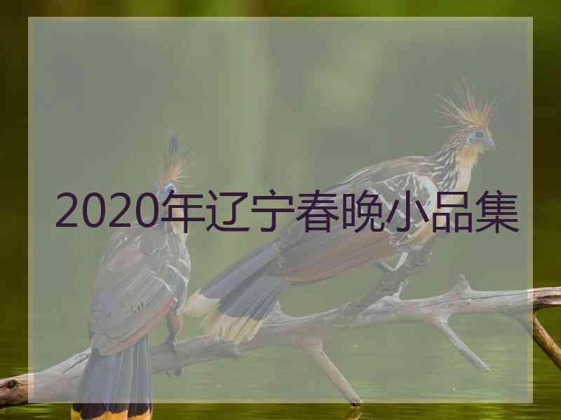 2020年辽宁春晚小品集