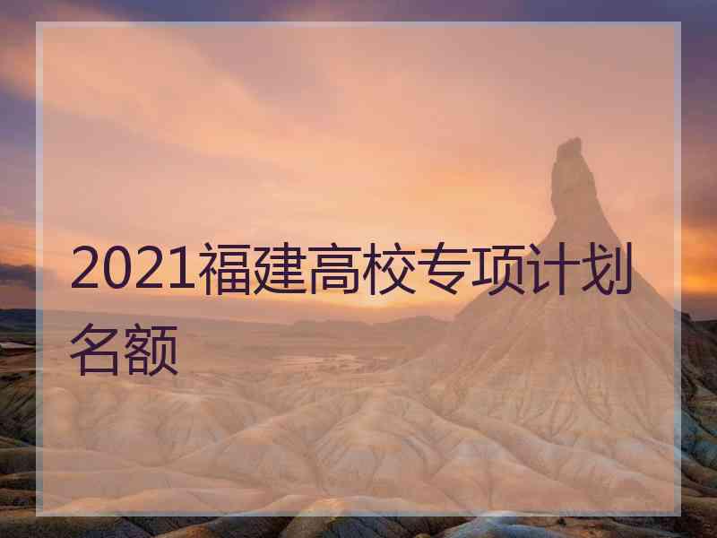 2021福建高校专项计划名额